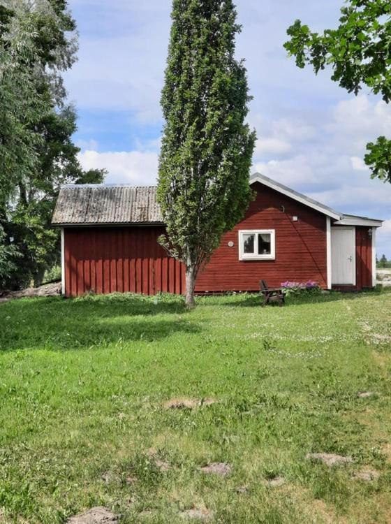Sassi Talu Horsefarm Hotel Pärnumaa Buitenkant foto